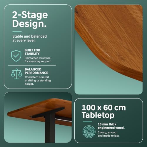 Image of V ONE Electric Standing Desk with One-Piece Solid Top | Heavy Duty Height Adjustable Computer Desk | 3 Memory Preset | 5 Year Warranty | for Home Office (Grenade Pine, 100 * 60 CM)