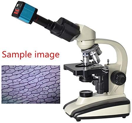 37MP 1080P 60FPS USB Microscope Camera Video HDMI Industry Microscope Camera with Conversion Adapter, 100-240V Digital Camera C Mount