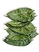 Ceylon Rustic Savour Soursop Tea - 100 Dried Fresh Guanabana Leaves