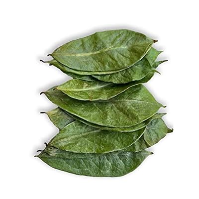 Ceylon Rustic Savour Soursop Leaves 100 premium sour sop tea Hoja Leaves Fresh 100% Natural Graviola hojas de guanabana Leaves Loose Leaf Herbal Tea Drink 30+ Cups Pure Gluten Free Soursop Tea Resealable bags