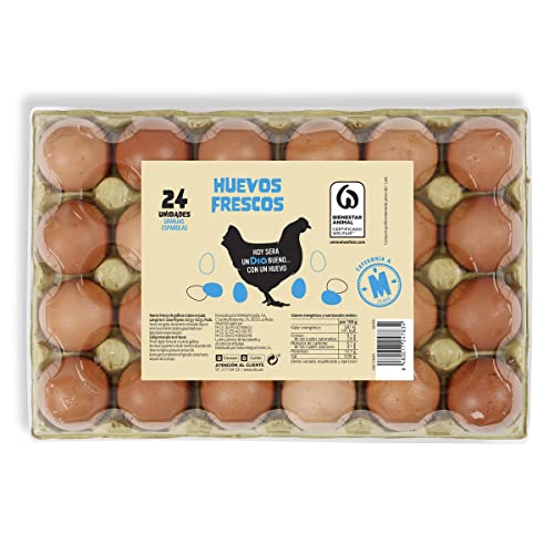 Huevos frescos categoría A clase M estuche 24 uds