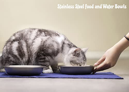 Biteking Stainless Steel Cat Bowls, Whisker Fatigue Relief Cat Food Dish, Metal Shallow Wide Large Replacement Plate For Dog And Pet, Ideal For Raised Elevated Pet Feeding Station Stand #TOP3