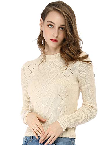 Allegra K Women's Crew Neck Pointelle Hollow Sweater Slim Fit Cropped Knitted Top X-Large Beige #TOP10
