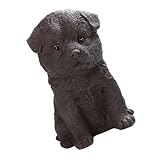 Chiot des sables violets : convient pour les plantes succulentes et diverses autres plantes décoratives en pot pour le petit jardinage décoratif, décoration de chiot