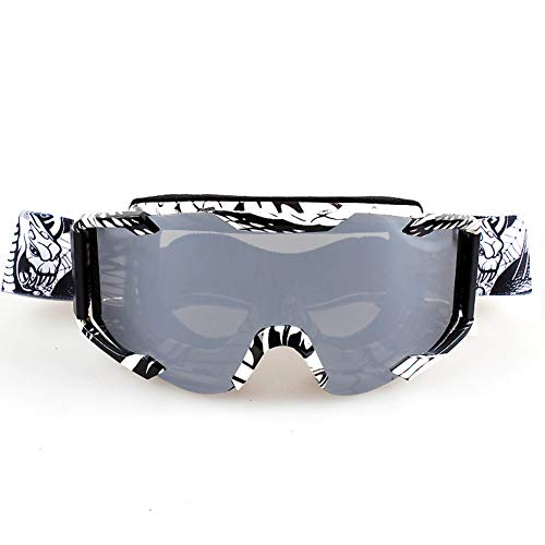 Lunettes de ski et snowboard pour adultes et jeunes | Protection vent et sable