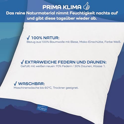 Federkissen 80×80 von Linea by böhmerwald – hochwertig und allergikerfreundlich