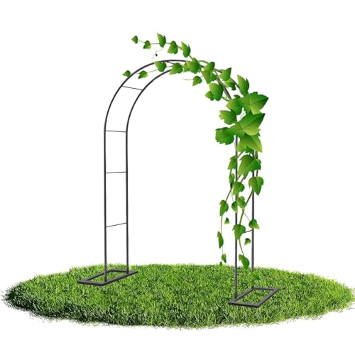Arche de jardin en métal noir 280 x 250 cm pour plantes grimpantes