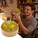 Imagen de Dumplings