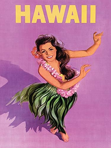 Piddix Hawaii Canvas Print, Multi-Colour, 30 x 40 cm