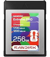 Amazon.com: SANDISK 256GB CFexpress Type B Card – FIFA World Cup