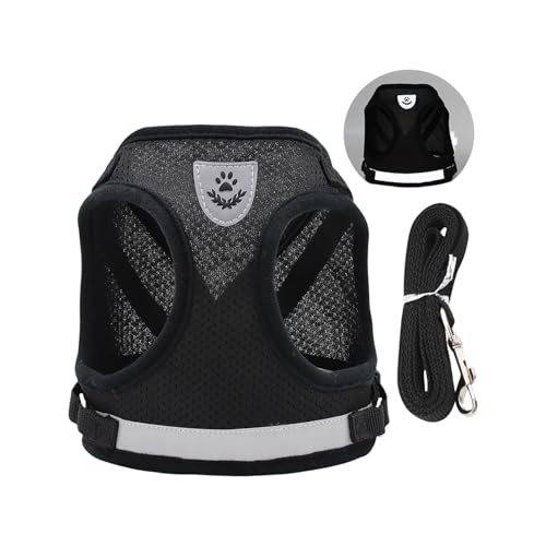 ˌn[lXʋClbgxXg^p[vtSȃfUCybgOEH[LOMAsɗDybgxXg