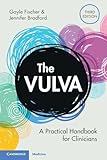 The Vulva