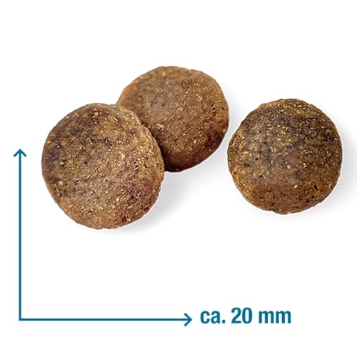 Ente & Kartoffel Adult 3 kg |Getreidefreies Trockenfutter | Monoprotein Ente| von Tierärzten entwickelt | Hundefutter mit frischem Fleisch | Premiumfutter für Hund