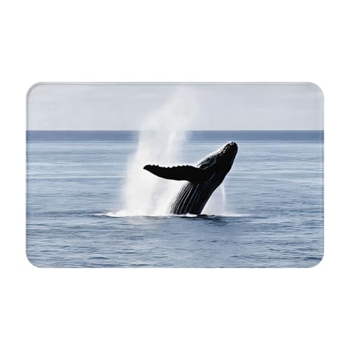 Killer Whale Print Living Room Bathroom Kitchen Anti Slip and Absorbent Carpet, Indoor Entrance Door Muddy Floor Mat, Ultra Soft Washable Carpet 21x31.5 Inches