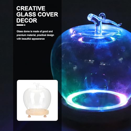 Cúpula de cristal con luces LED multicolor y base de madera Alipis para mesa 5
