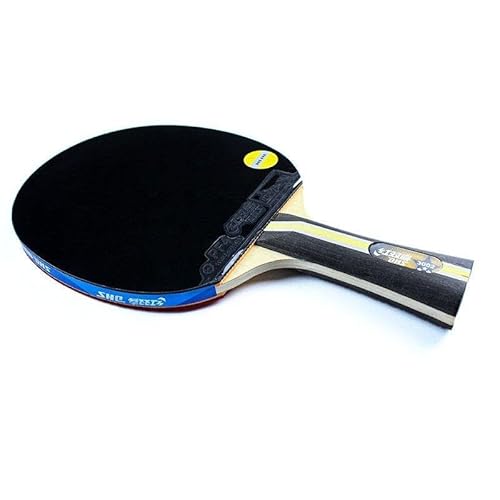 Raquete Tênis De Mesa DHS H3002 Clássica Profissional Aprovada ITTF