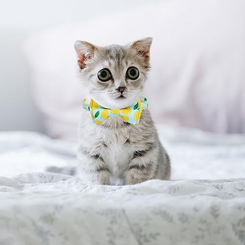 Collar cascabel para gatos bufanda triangular frutas Milisten pack 2 tela resistente 6