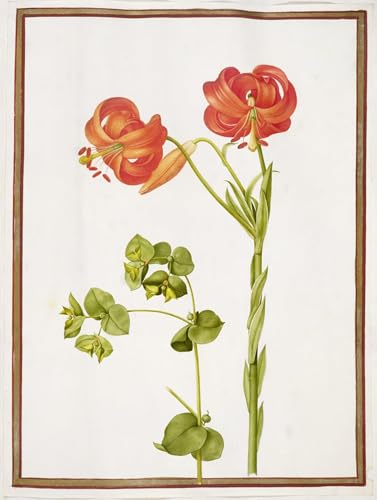 Tableau impressions d'art mural vintage par Nicolas Robert : poster de chambre élégant 60x90cm