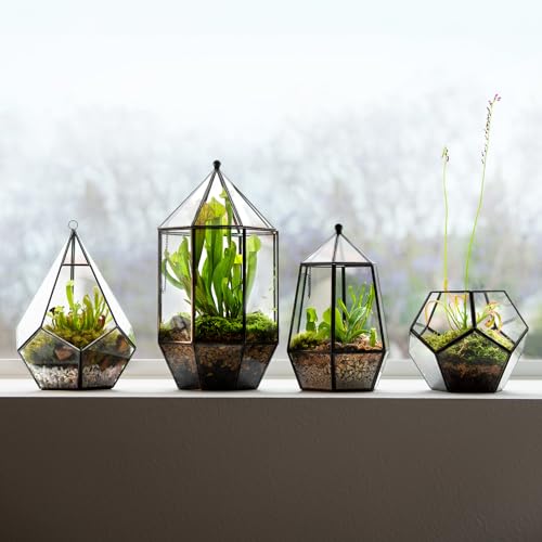 SuperMoss (90405) Glass Terrarium – Elegant Indoor Gardening Décor, Ideal Gifts for Plant Lovers, Modern Home & Office Decoration, 7.5” x 7.5” x 14”, Greenhouse by SuperMoss - Image 3