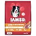 Iams Proactive Health Adult Dry Dog Food Lamb And Rice, 30 Lb. Bag