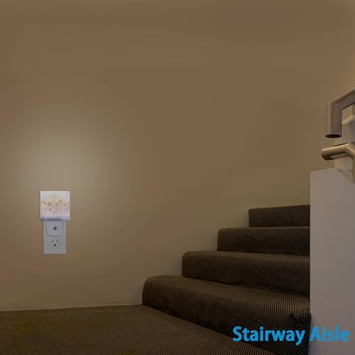 Image of Night Light,Abstract Watercolor Floral Night Lights Plug into Wall Dusk to Dawn Sensor Led Lamp for Women Men,Led Lights for Stairway /Hallway /Bedroom,0.5W