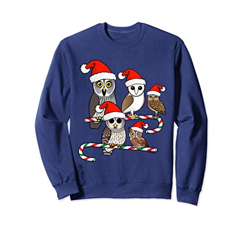 Santa Owls Cute Cartoon Christmas Bird Holiday Gift Idea Sweatshirt