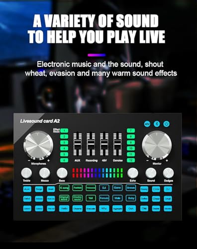 Table de mixage audio portable et carte son live pour chant de karaoké