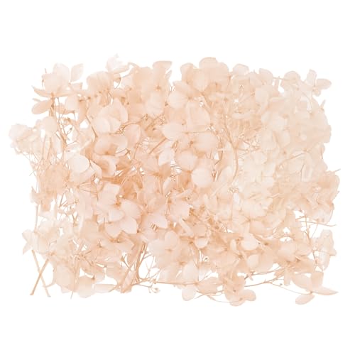 The Baked Studio - Original Dried Flower Hydrangea Set For Cake & Cupcake Decorating & Others Crafts (Dusky Peach)