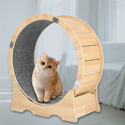 Cat Exercise Wheel Indoor Treadmill Small Animals Exercise Wheels ，Cat Runway, Fitness Weight Loss Device，Cat Running Wheel ，Pet Toy ，Large-Sized Cat Wheel (Large) #TOP5