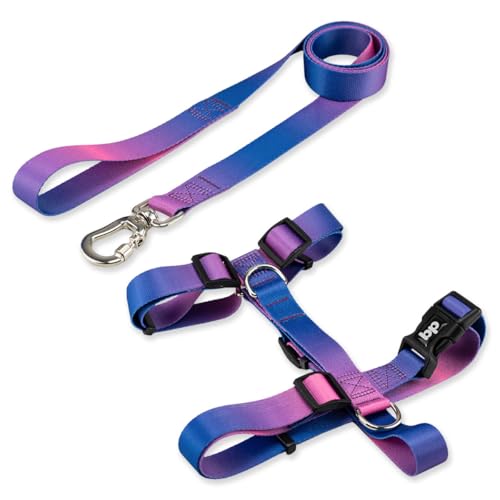 Basic Pet Coleira Peitoral Com Guia Para Cachorro Cães Modelo Tradicional H Tamanho Porte Grande Médio Pequeno (M, Lily)