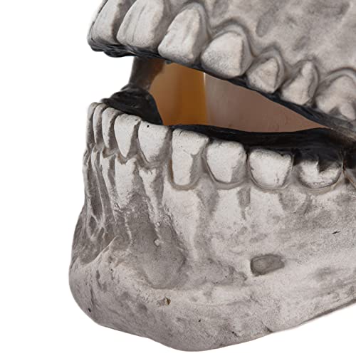 Photo complémentaire