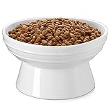 Y YHY Dog Bowl,Elevated Dog Food Bowls,Raised Dog Water Bowls,30 Ounce Ceramic Pet Bowl for Medium Dogs and Adult Cats,Anti-Vomiting,Protection Cervical Spine,Microwave Dishwasher Safe,White