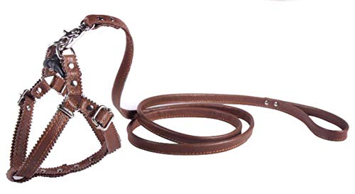 feiling Pettorina per cani di piccole dimensioni, regolabile, in morbida pelle, a prova di fuga, con guinzaglio per cani da 1,3 m (marrone chiaro)