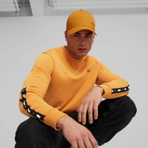 Image of Puma Unisex Metal Cat Logo Cap
