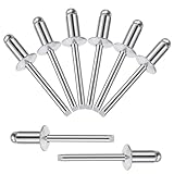 Songella Aluminium-Blindnieten 6,4 x 12 mm Pop-Nieten Offenem Ende Blindnieten mit Aluminiumgriff und Stahldorn 60 Stück (Silber)