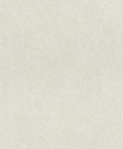 Papier peint gris effet vieilli Rasch ETSU pour decoration de salon - 2