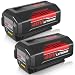 [Upgraded to 3600mAh] 3.6Ah Ni-Mh Replacement for Black and Decker 18V Battery HPB18 HPB18-OPE 244760-00 A1718 FS18FL FSB18 Firestorm Batteries 2 Packs