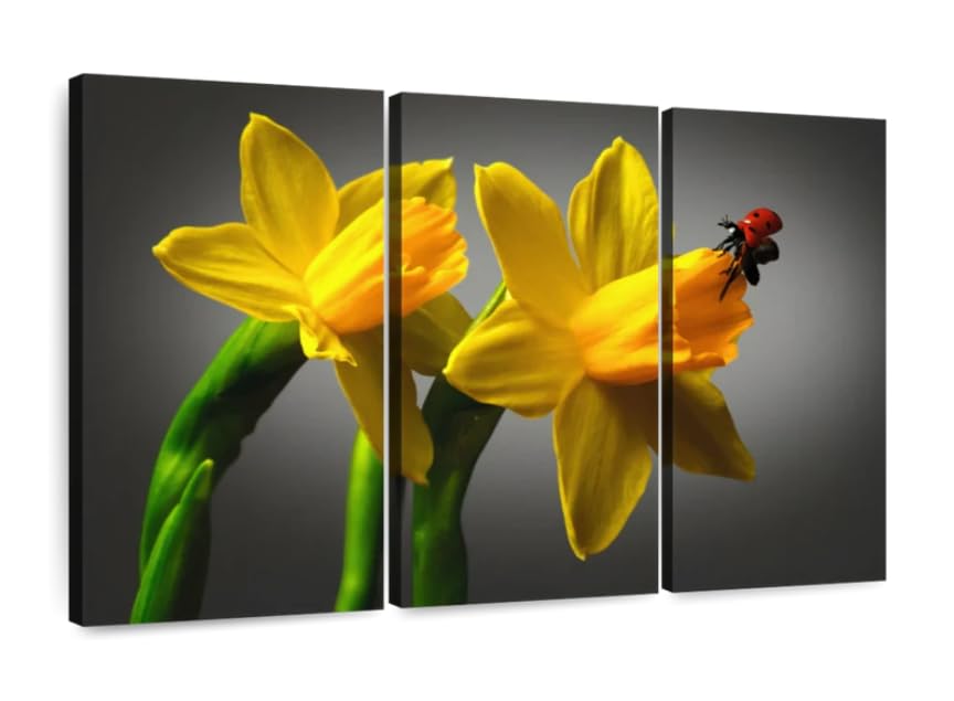 Posters et Arts Décoratifs Ladybug On Daffodil triptyque encadré 120x60