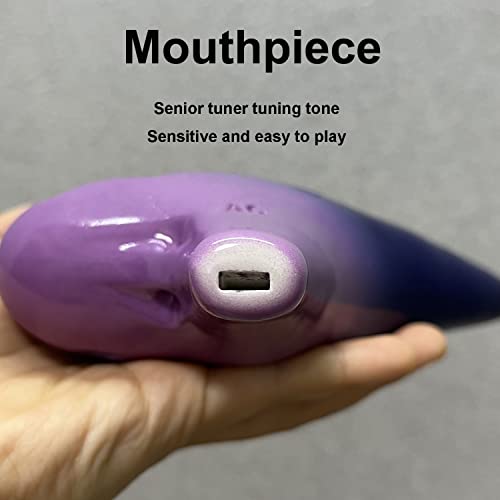DHwebWLP 12 Hole Ocarina Instrument With Song Book for Beginner,Alto C Ceramic Ocarina(Purple & Deep Blue) - Thumbnail 5
