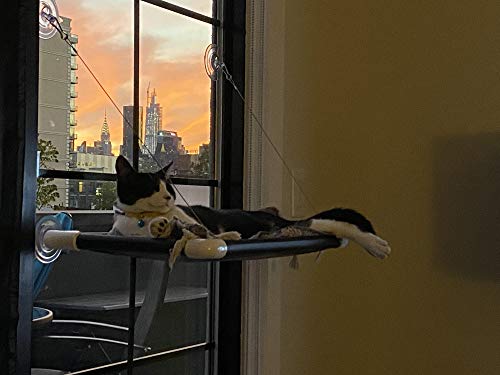 Kitty-Cot-Original-Worlds-Best-Cat-Perch