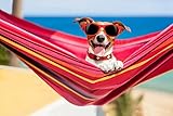 Mein Herz - Take it Easy Streukügelchen - aus Liebe zu ihrem Hund - Vorratspackung 10g