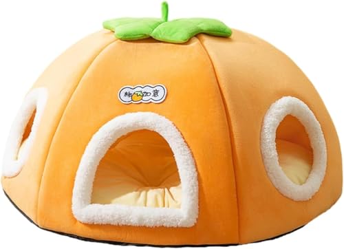 Punex L xbh Lxbh gl Lgl  ybgxbh NbV \tg}bg  `^ybgxbh ` ^ ybgnEX LnEX L  Lp ~ 킢 ~ Ng _炩 ӂӂ v 􂢉\