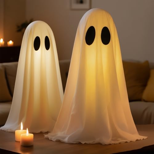 2 Packs Halloween Decorations Indoor - USB Power Ghost Decor Kit ...