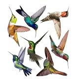 7 Pezzi Adesivo Murale Colibrì Autoadesivo in PVC