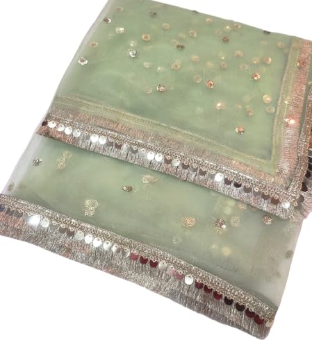 Image of Navti Creations Women's Lightweight Net Dupatta With Sequence Embroidery & Kiran Border (Length 2.25m)