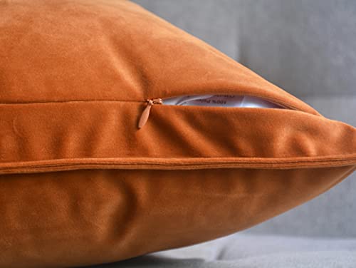 Fundas de cojín de terciopelo suave 30x50 cm estilo sofisticado rectangular 3