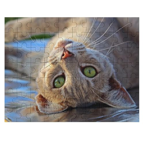 L   pY NG[VAjObY ϋv l jp D ߋ t@[Xg`CX ؐ  Ǐ葡蕨 av[g 70 PCS