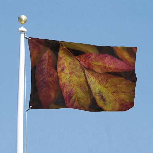Drapeau d'extérieur brise pour décoration printanière et automnale de cour et terrasse