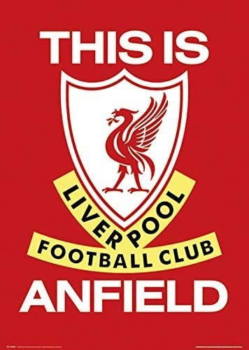 Liverpool FC This is Anfield Flag Poster 11 x 17 Inches 28 x 43 cm, Red and White, 43.2L x 27.9W cm