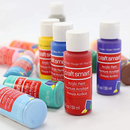 Craft-Smart-Acrylic-Paint-Set-Value-Pack-16-Colors--All-Purpose-Paint-Kit-for-Beginners-and-Professionals